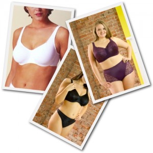 plus size bras from Butterfly Collection