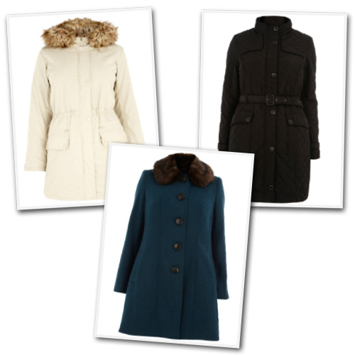 Plus size coats from Evans UK.